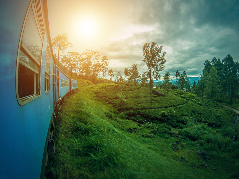 Train in Sri Lanka